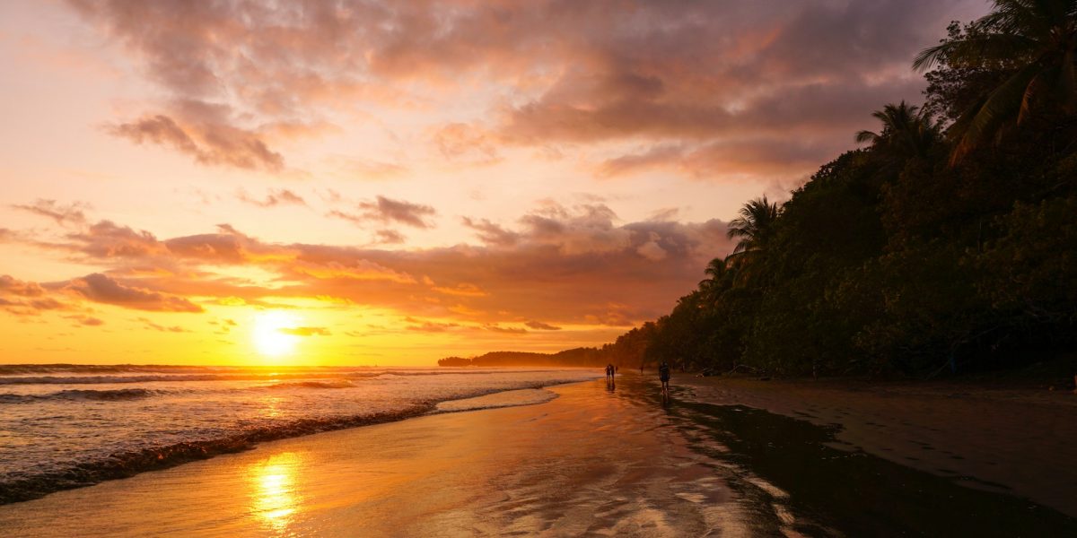 selina-bubendorfer-rUTAE5YwkKY-unsplash